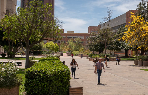 ucla students walking